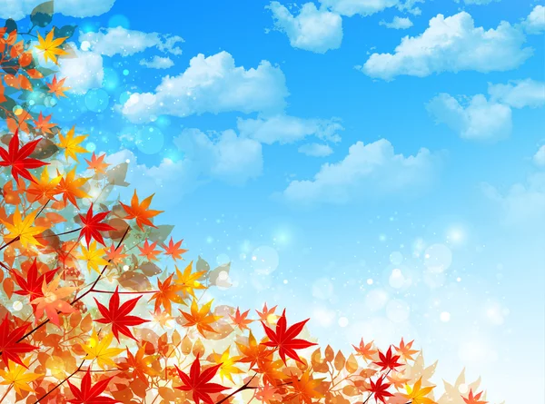 Maple outono folhas fundo —  Vetores de Stock