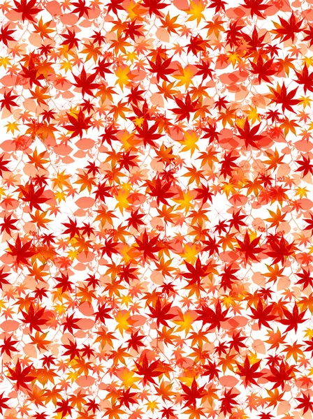 枫叶秋天的树叶背景 — 图库矢量图片