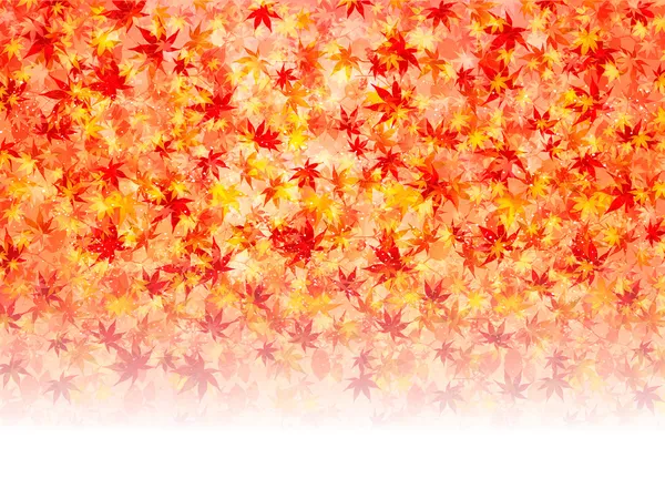 Arce hojas de otoño fondo — Vector de stock