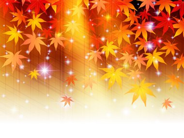 arka plan akçaağaç sonbahar yaprakları