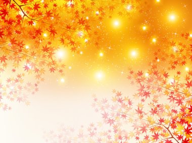 arka plan akçaağaç sonbahar yaprakları