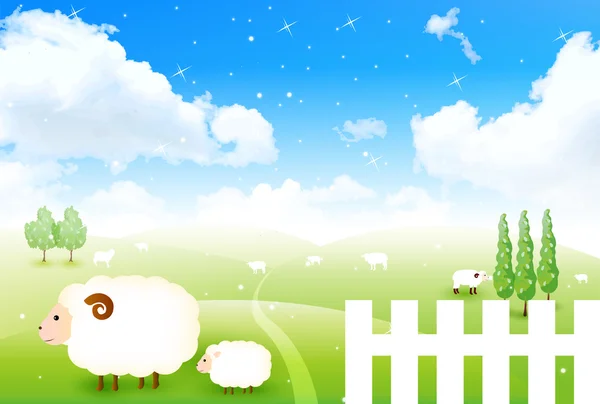 Schafe Grußkarten Hintergrund — Stockvektor