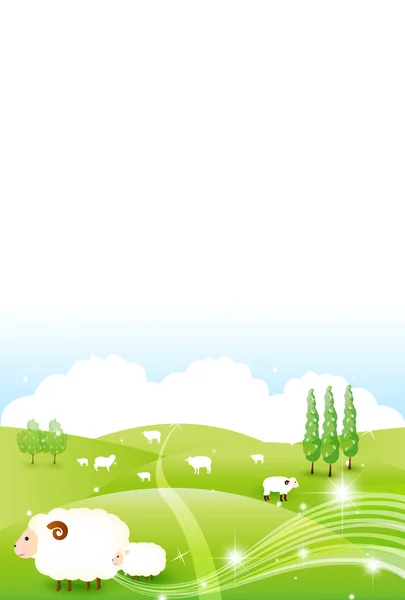 Schafe Grußkarten Hintergrund — Stockvektor