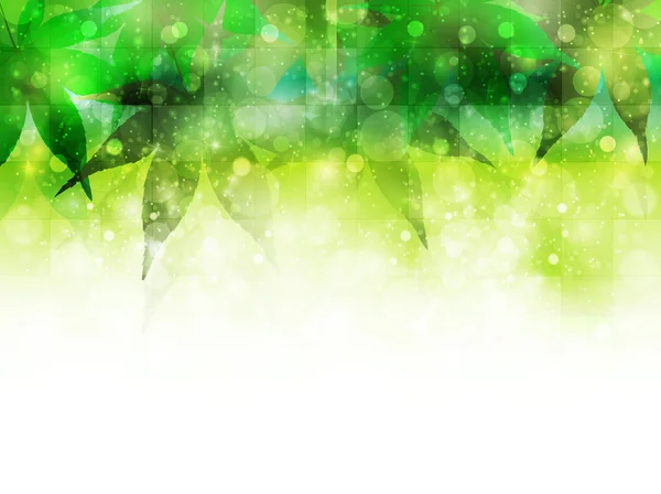 Maple fresh green background — Stock Vector