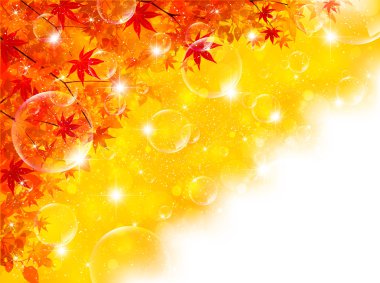 arka plan akçaağaç sonbahar yaprakları