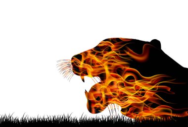 Kaplan Yeni Yıl kartı geçmişi 