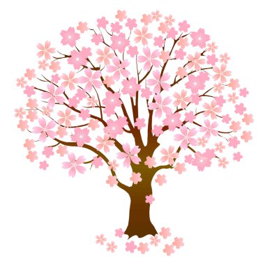 Kiraz Çiçekleri bahar ağacı simgesi
