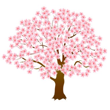Kiraz Çiçekleri bahar ağacı simgesi