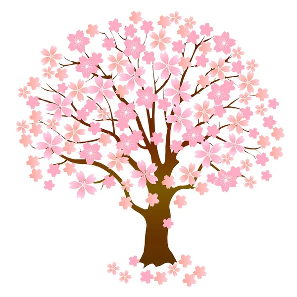 Flores Cerezo Icono Árbol Primavera — Vector de stock