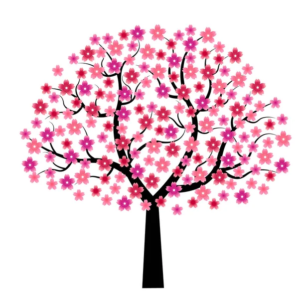 Třešňové Květy Jarní Strom Ikona — Stockový vektor