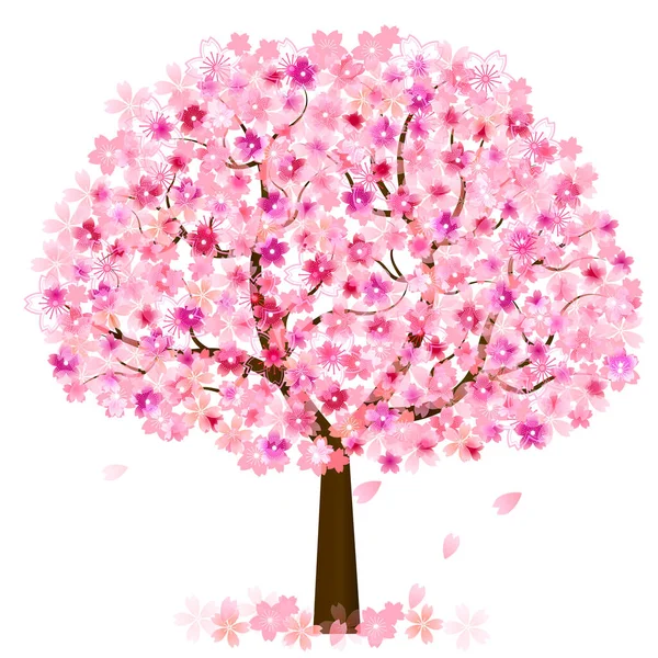 Cherry Blossoms Icona Dell Albero Primavera — Vettoriale Stock