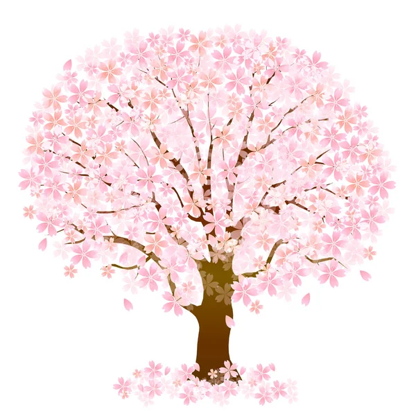 Cherry Blossoms Icona Dell Albero Primavera — Vettoriale Stock