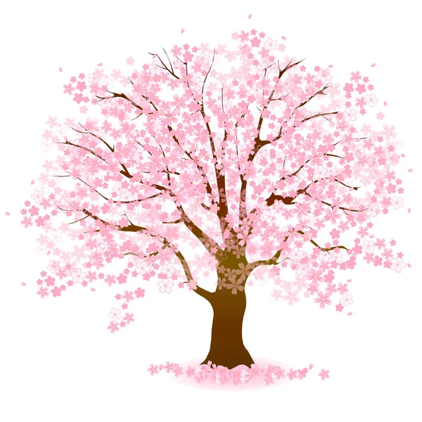 Wiśniowe Kwiaty Ikona Wiosennego Drzewa — Wektor stockowy