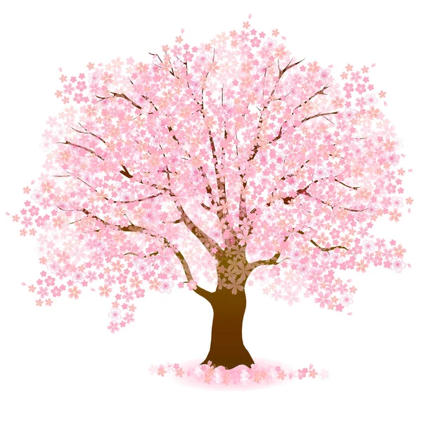 Flores Cerezo Icono Árbol Primavera — Vector de stock