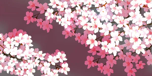 Flores Cerezo Primavera Patrón Japonés Fondo — Archivo Imágenes Vectoriales