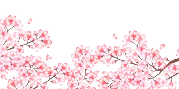 Flores Cerejeira Fundo Flor Primavera — Vetor de Stock