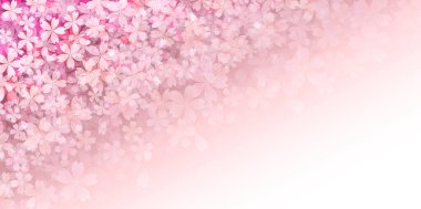 Kiraz çiçekleri Japon desenli bahar arkaplanı 