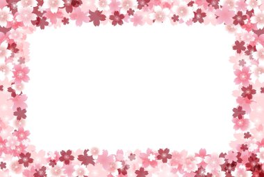 Kiraz çiçekleri bahar arkaplanı 