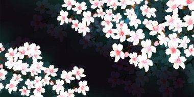 Kiraz çiçekleri bahar çiçek arka plan 