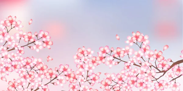 桜の花春の花背景 — ストックベクタ