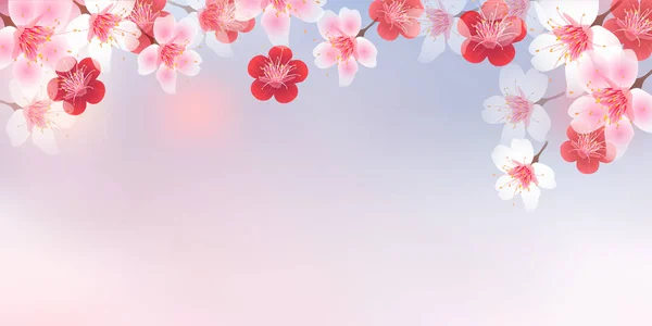 Třešňové Květy Švestkové Jarní Pozadí — Stockový vektor