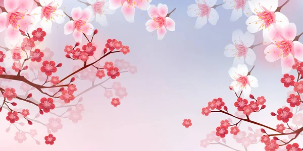 桜梅春の背景 — ストックベクタ