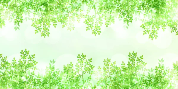 Свежий Зеленый Лист Светлый Фон — стоковый вектор