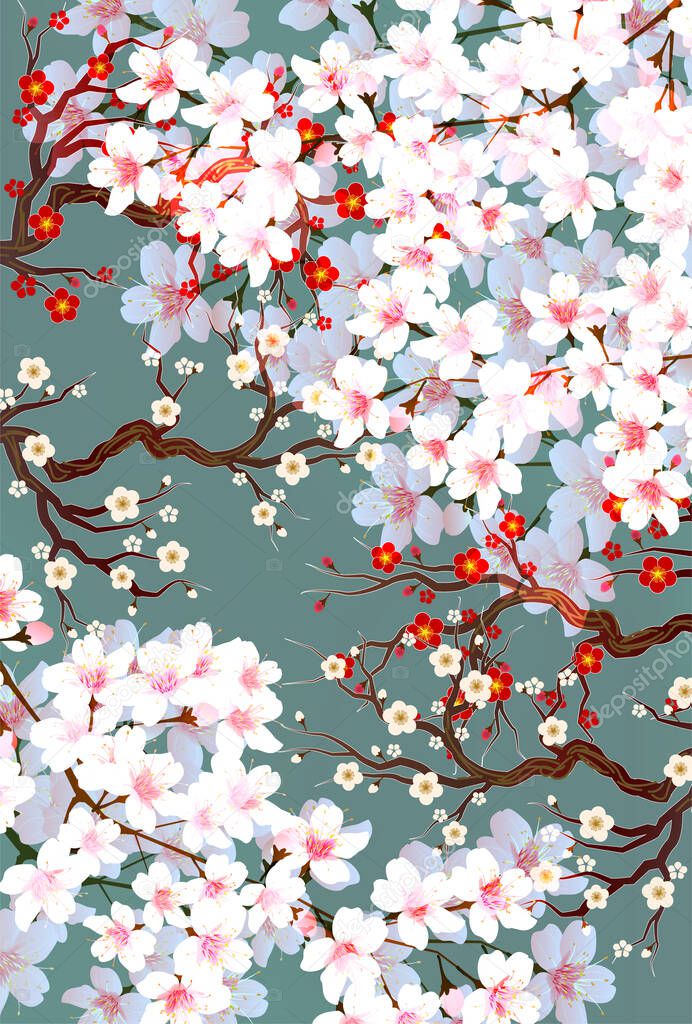 Cherry blossoms Plum spring background 
