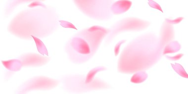 Kiraz çiçekleri Japon desenli bahar arkaplanı 