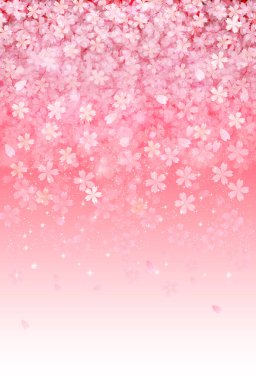 Kiraz çiçekleri Japon desenli bahar arkaplanı 