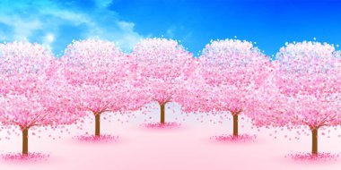 Kiraz çiçekleri bahar çiçek arka plan 