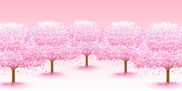 樱花盛开的背景 — 图库矢量图片