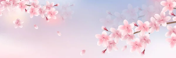 Flores Cerezo Patrón Japonés Fondo Primavera — Vector de stock