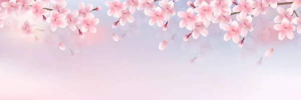 Wiśnia Kwiaty Japoński Wzór Wiosna Tło — Wektor stockowy
