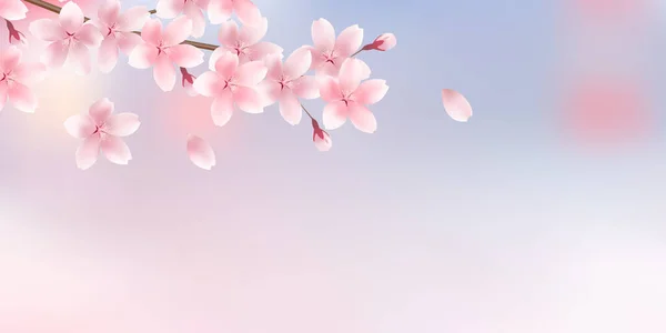 Flores Cerezo Patrón Japonés Fondo Primavera — Vector de stock