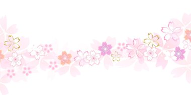 Kiraz çiçekleri bahar çiçek arka plan 