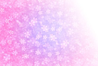 Kiraz çiçekleri bahar çiçek arka plan