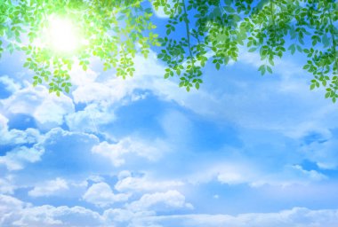 Taze yeşil yaprakları manzara arka plan