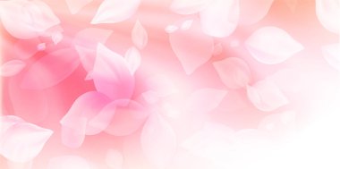 Kiraz çiçekleri yaprakları bahar arkaplanı 