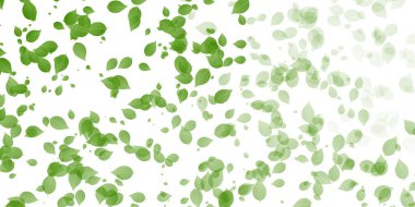 Taze yeşil yaprakları manzara arka plan 