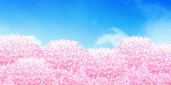 桜の花春の花背景 — ストックベクタ