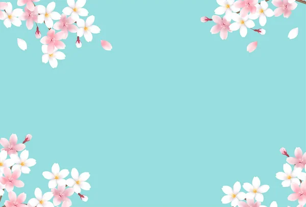 Cherry Blossoms Spring Flower Background — Stock Vector