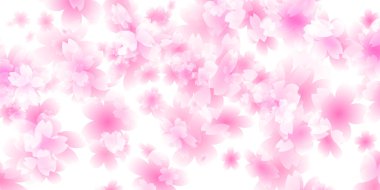 Kiraz çiçekleri bahar çiçek arka plan 