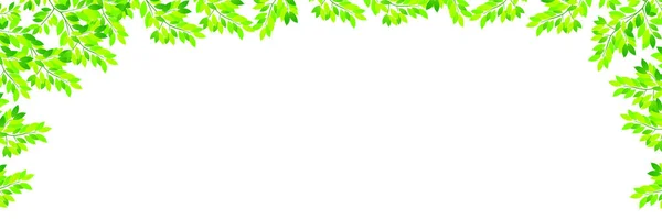 Folhas Verdes Frescas Fundo Paisagem —  Vetores de Stock