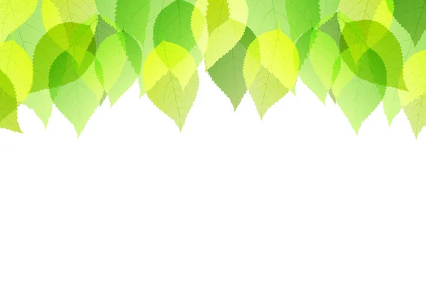 Frische Grüne Blätter Landschaft Hintergrund — Stockvektor