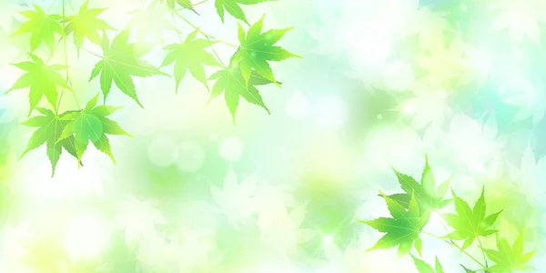 Frisch Grüne Blätter Ahorn Hintergrund — Stockvektor
