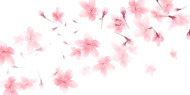 Kiraz çiçekleri bahar çiçek arka plan