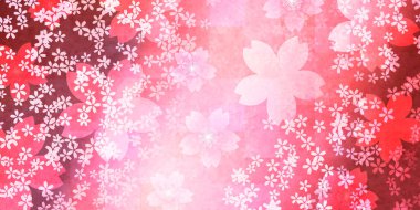 Kiraz çiçekleri bahar çiçek arka plan