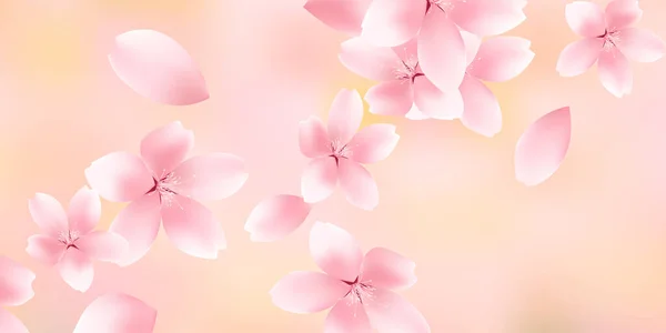 Kiraz Çiçekleri Bahar Çiçek Arka Plan — Stok Vektör