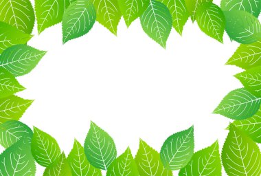 taze yeşil yapraklar bahar arkaplanı 